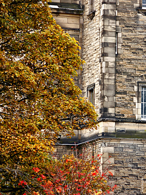 Autumnal Edinburgh_2376