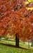 Autumnal Edinburgh_2351