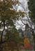 Autumnal Edinburgh_2356
