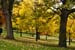 Autumnal Edinburgh_2358