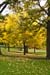Autumnal Edinburgh_2359