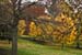 Autumnal Edinburgh_2364