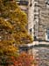 Autumnal Edinburgh_2376