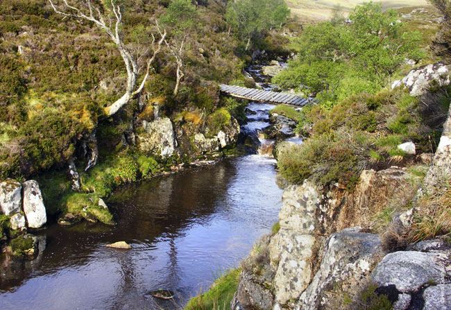 Across the Burn 0646