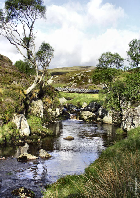 Bridge across the Burn 0647