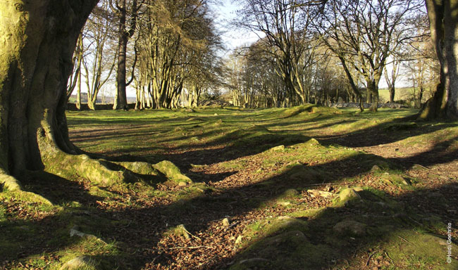 Clava Shadows 0280