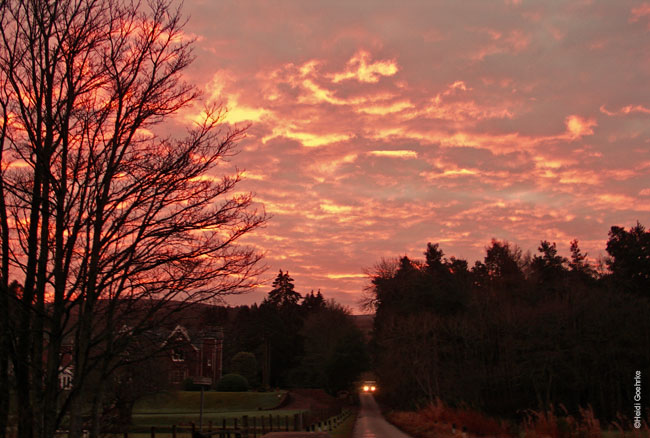 Clava Sunrise 00151 
