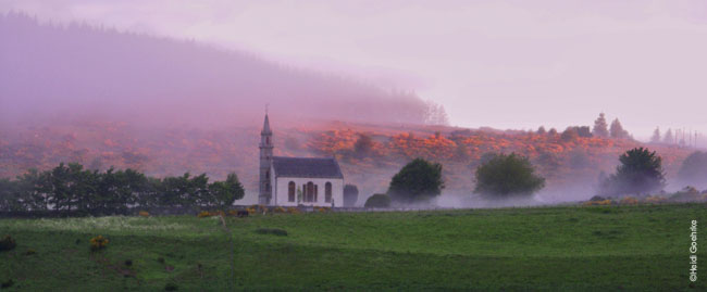 Daviot Morning Mist 0608