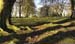 Clava Shadows 0280