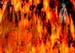 On Fire