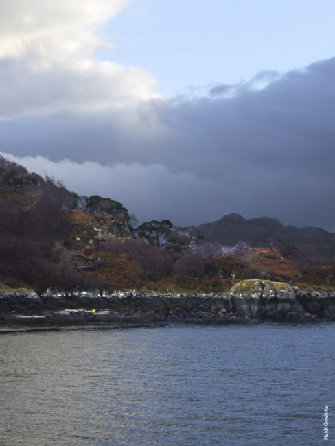 Charlestown Harbour 1311