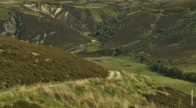 Dalness2