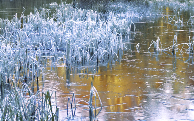 Frosted 0074X