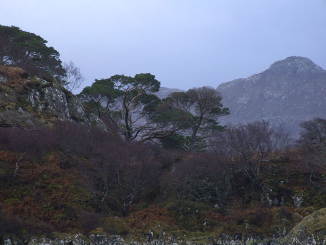 Gairloch 1310