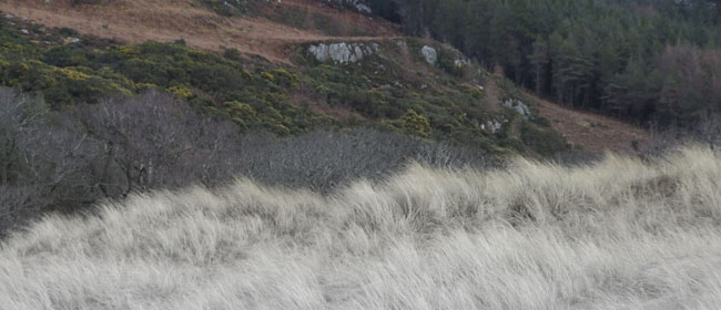 Gairloch Beach 1321
