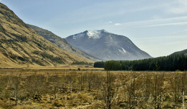 Glencoe 0137Xa