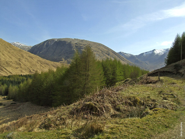 Glencoe 0148X