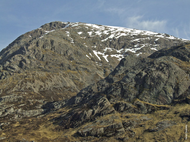 Glencoe 0161X