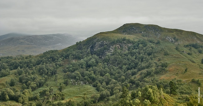 Kinlochleven 2254