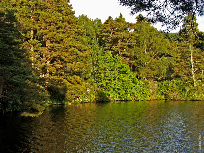 Loch Farr 0142