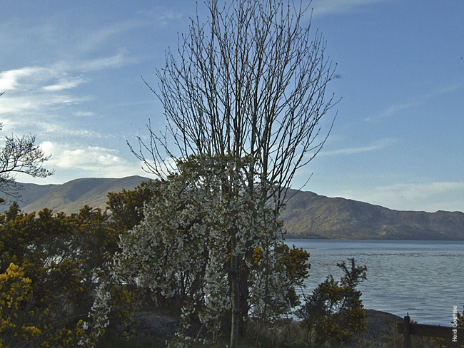 Loch Ness 0177X