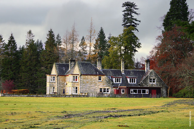 Moy Estate_2432