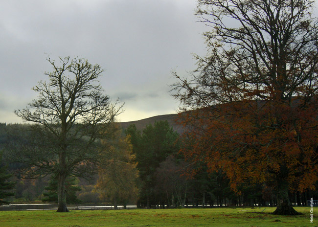 Moy Estate_2436a