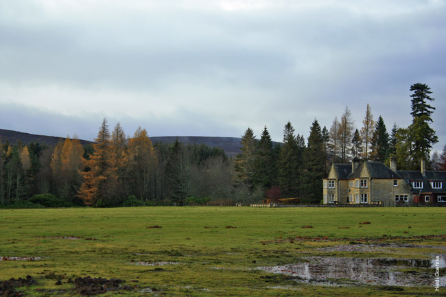 Moy Estate_2437