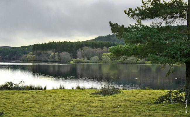 Moy Estate_2444