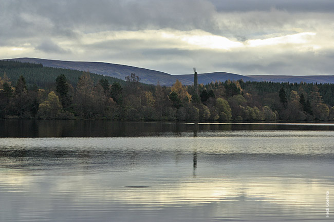 Moy Estate_2476