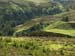 Dalness 0371