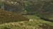 Dalness2