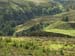 Dalness3