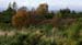 Daviot Forest 1159