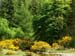 Gairloch Flowerdale Glen 1102