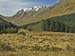 Glencoe 0141X