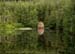 Loch Farr 0223 (1)