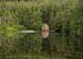 Loch Farr 0223