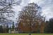 Moy Estate_2441
