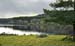 Moy Estate_2444