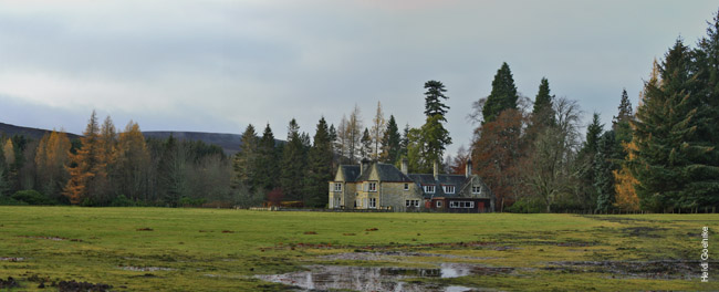 Moy Estate Panorama 1