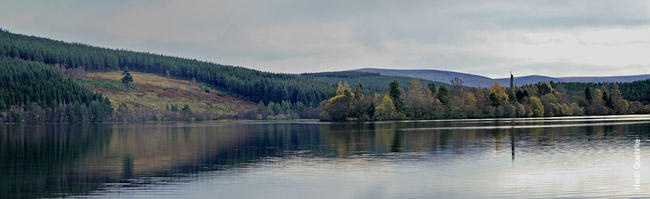 Moy Estate Panorama 3