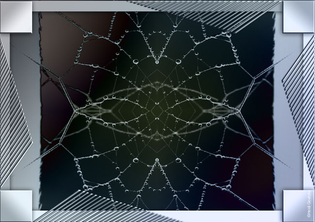 Inside the Web
