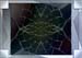 Inside the Web