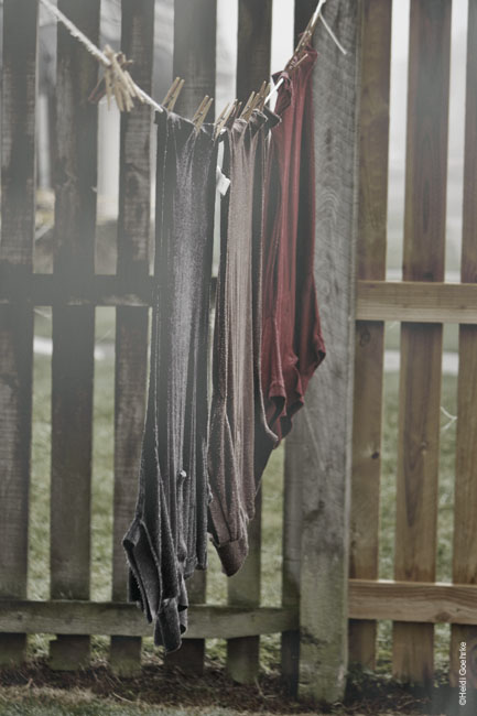 Forgotten Laundry 1184