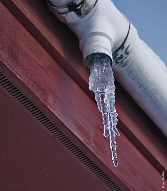 Frozen 1621