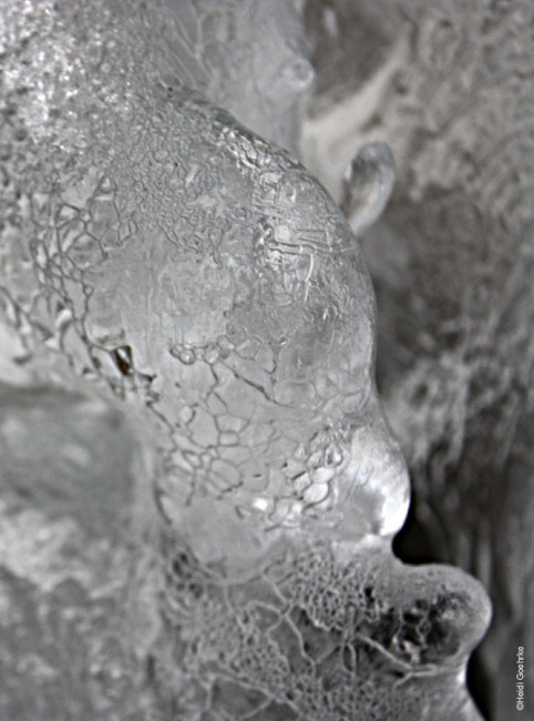 Patterns in the Ice 1602