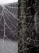 Rainweb 1214