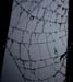 Rainweb 1218
