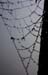 Rainweb 1220